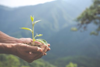 El Devocional: Una Vida De Gran Impacto
